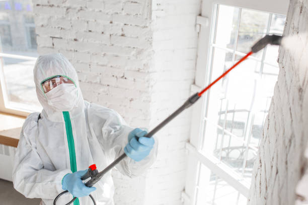 Wheelersburg, OH Mold Inspection, Removal & Remediation Company